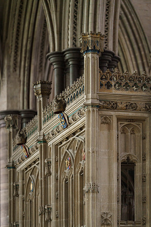 128 4thMarch2019 - Salisbury Cathedral  - Photo by Ash Mills