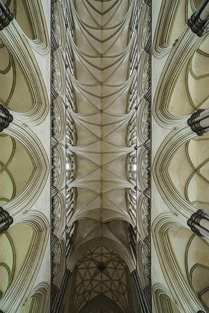 113 4thMarch2019 - Salisbury Cathedral  - Photo by Ash Mills