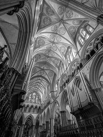 001 28thNov2019 _Salcath Misc - Photo by Ash Mills