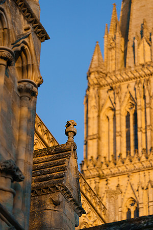 049 18thNov2019 _Salcath Misc etc - Photo by Ash Mills