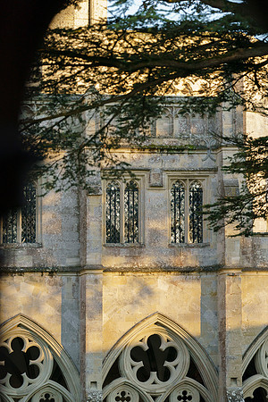047 18thNov2019 _Salcath Misc etc - Photo by Ash Mills