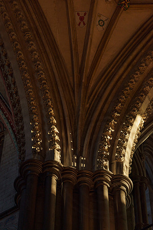 044 18thNov2019 _Salcath Misc etc - Photo by Ash Mills