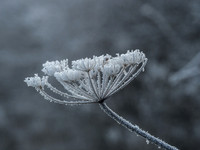 23rdJan17
