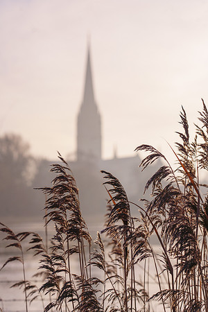 022  Water Meadows Salisbury - 19thJan2023 -  Photo by Ash Mills