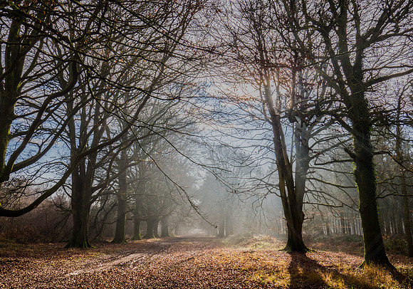 027  23thJanuary2017 - photo by Ash Mills